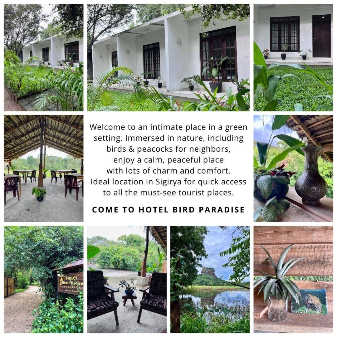 Bird Paradise Hotel Sigiriya Exterior photo